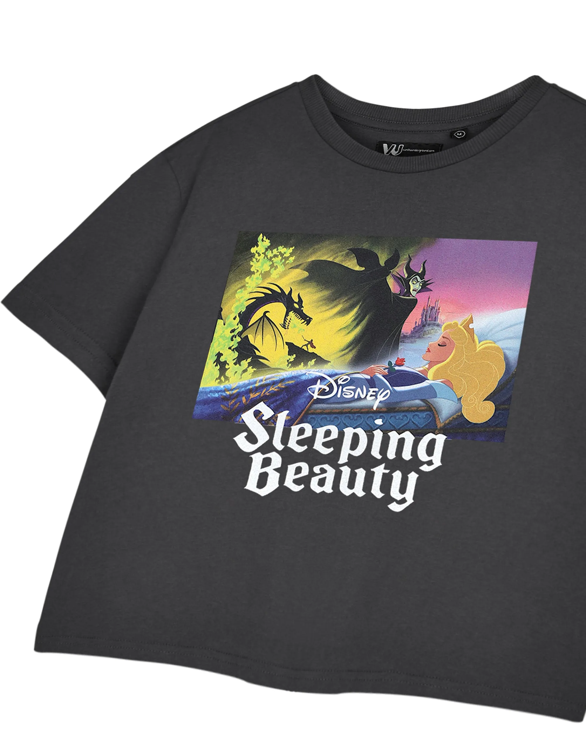 Disney Sleeping Beauty Aurora Womens Grey Cropped Short Sleeved T-Shirt