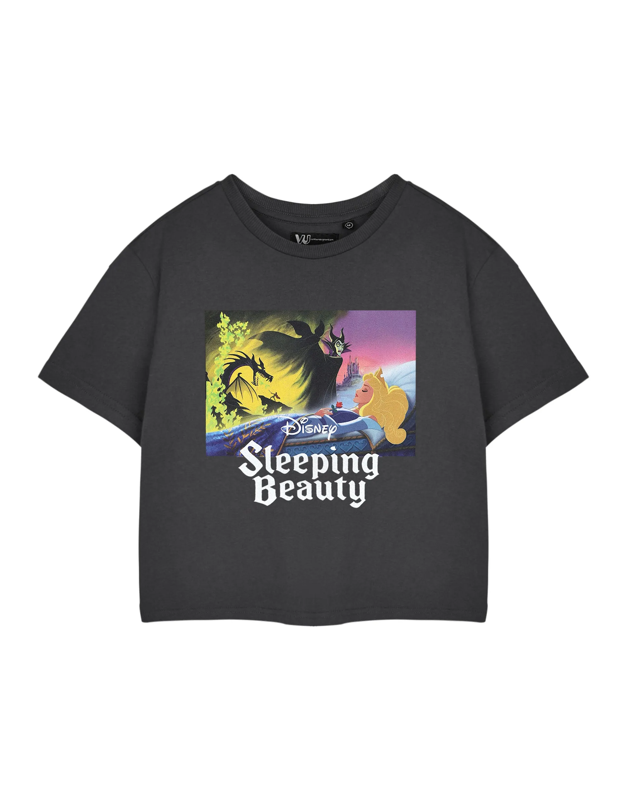 Disney Sleeping Beauty Aurora Womens Grey Cropped Short Sleeved T-Shirt