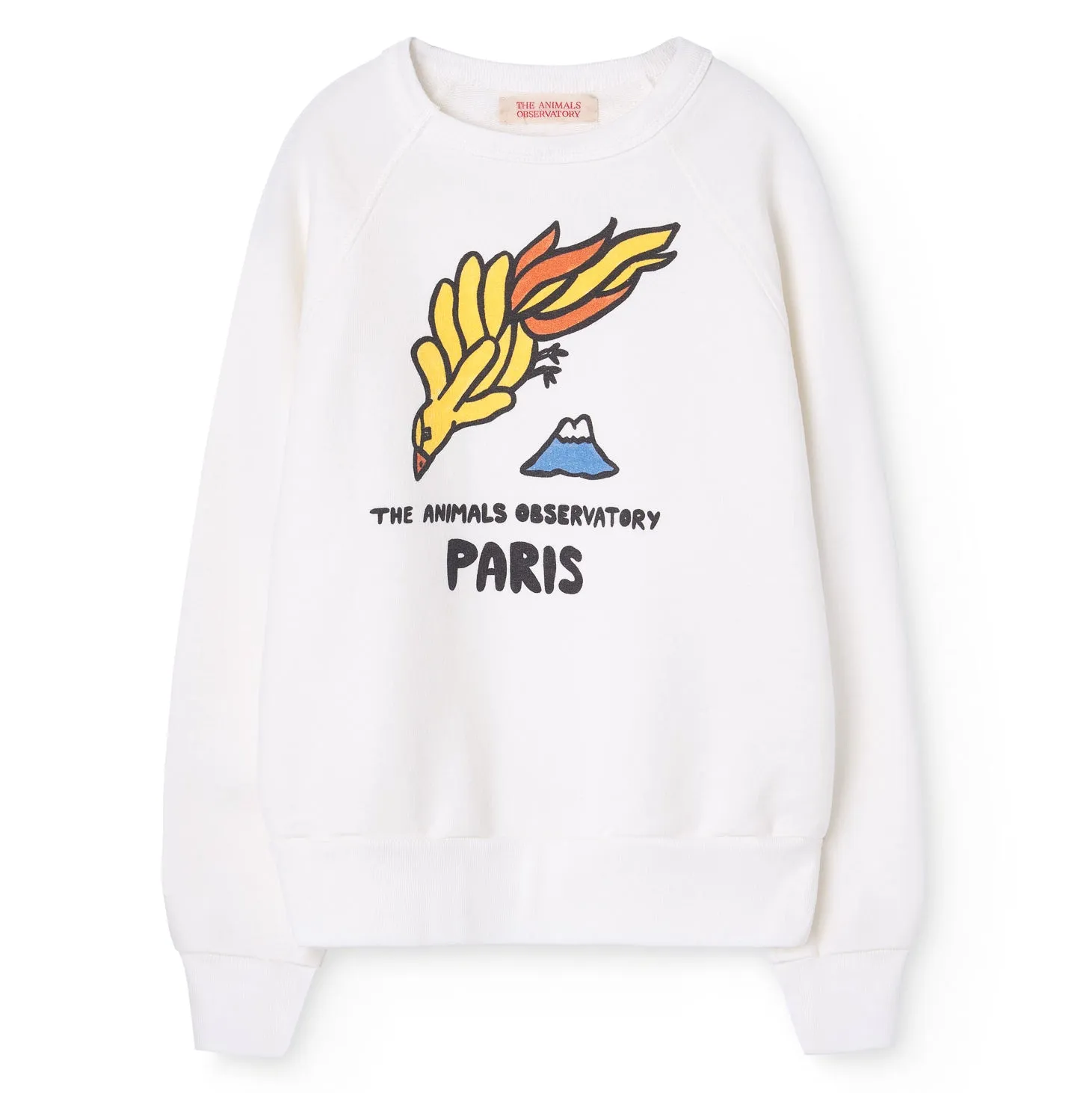 Soaring Phoenix Sweatshirt  - FINAL SALE